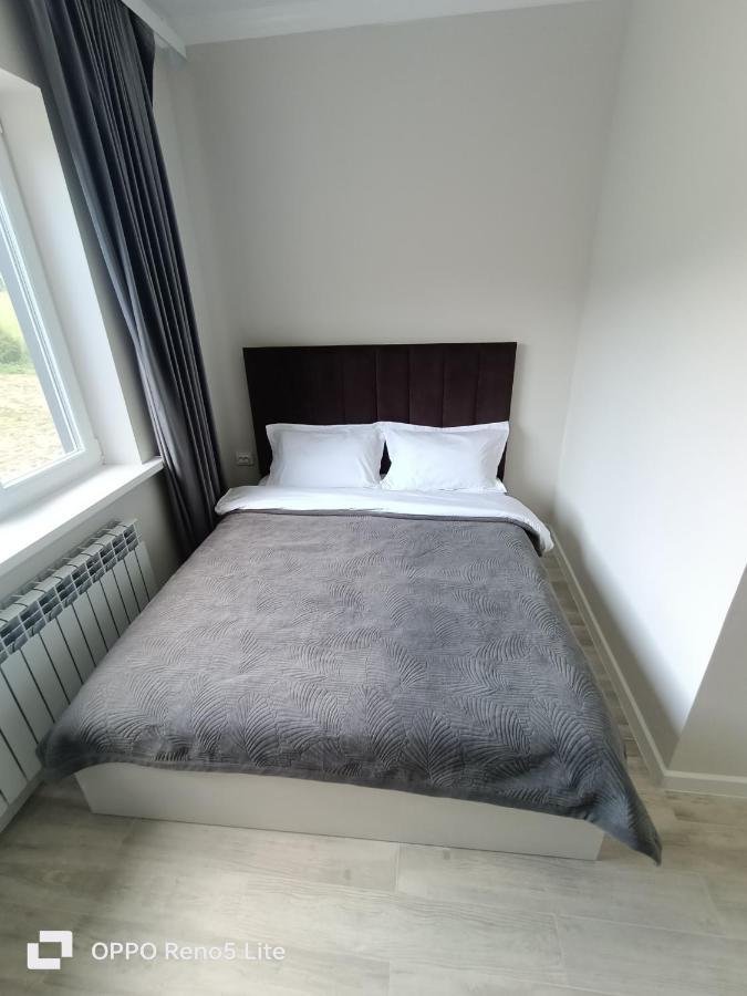 Hotel Kolsay Eki Agayindy Kurmenty Kültér fotó